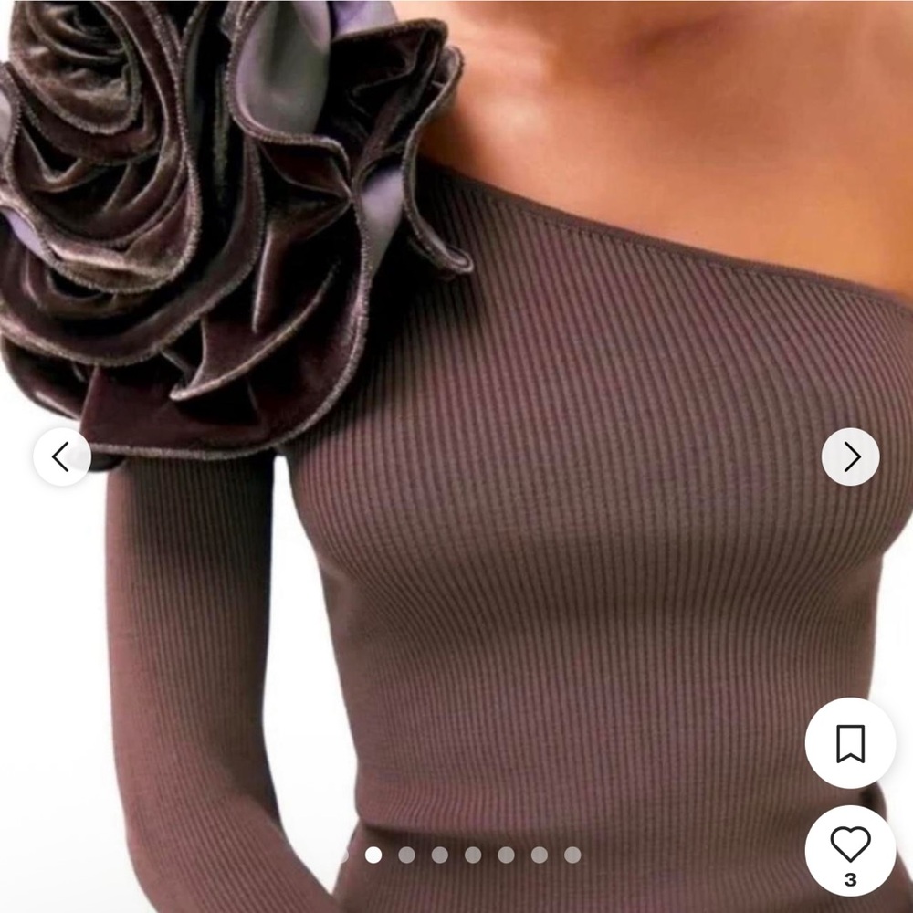 Zara Off-the-Shoulder Brown Sweater with Floral Accent
